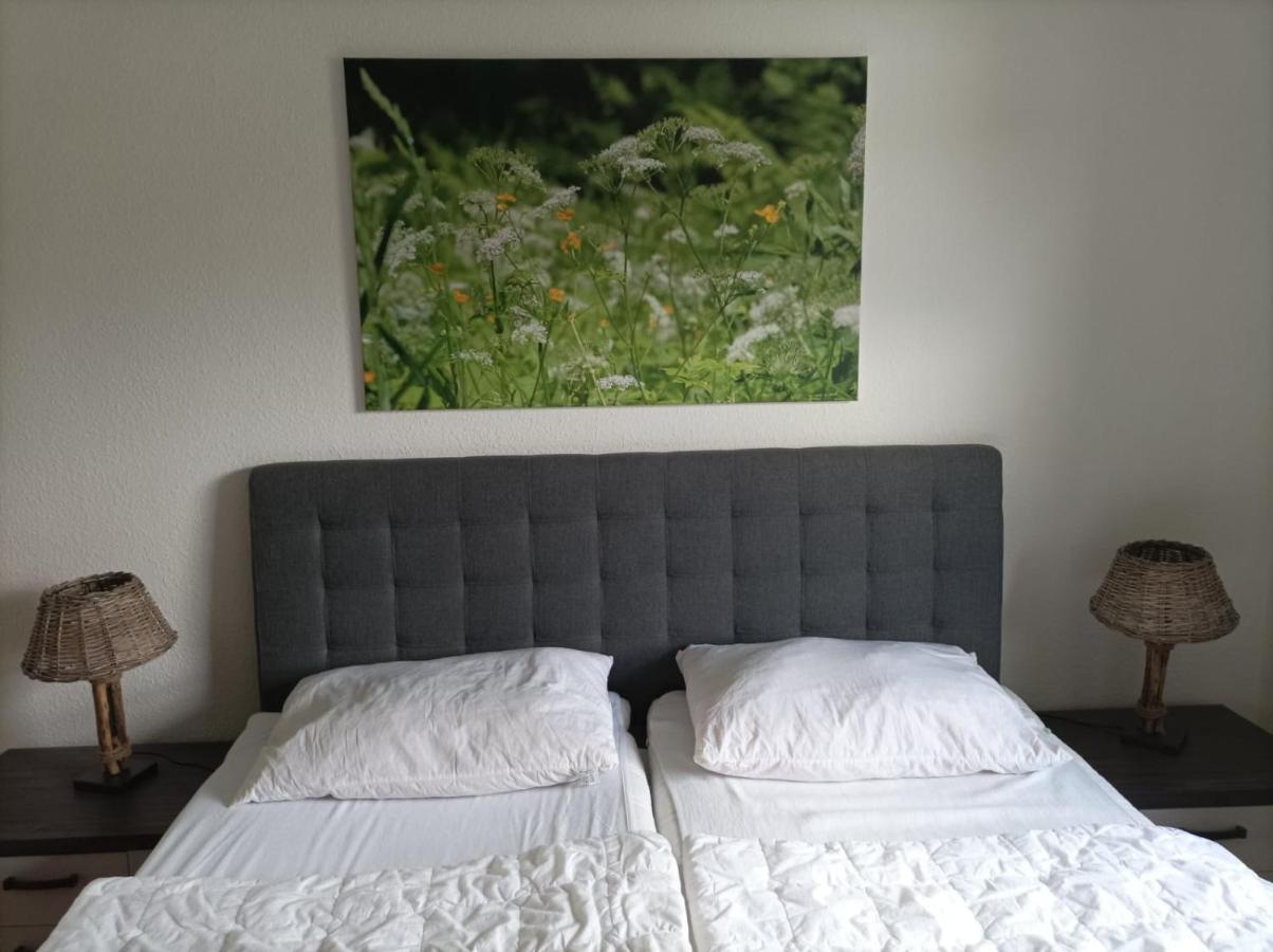 Appartement Ferienresidenz Wurmbergblick à Braunlage Extérieur photo